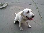     
: 110920142703.jpg
: 18
:	146.5 
ID:	8689418