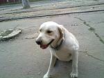     
: 110920142704.jpg
: 17
:	157.4 
ID:	8689419