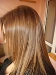     
: DSC00055.jpg
: 14
:	102.7 
ID:	8689599