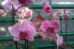     
: IMAG0089.jpg
: 25
:	131.5 
ID:	8691435