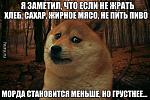     
: 10406524_326154934201174_1855617813107600910_n.jpg
: 19
:	41.7 
ID:	8692092