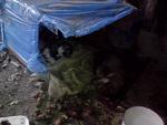    
: IMG_20140912_185550.jpg
: 8
:	84.2 
ID:	8693965