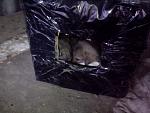     
: IMG_20140912_185603.jpg
: 11
:	94.1 
ID:	8693966