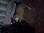     
: IMG_20140912_185517.jpg
: 11
:	71.6 
ID:	8693967