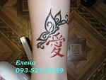    
: P1011158.jpg
: 8
:	44.9 
ID:	8698454