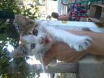     
: Qh49weVNXfs.jpg
: 8
:	63.5 
ID:	8699957