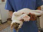     
: DSCN5105.jpg
: 9
:	79.6 
ID:	8699964