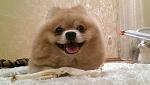     
: IMAG0955__.jpg
: 13
:	56.0 
ID:	8702415