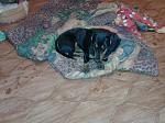     
: 4Vogb8iGYLE (1).jpg
: 27
:	89.9 
ID:	8703192