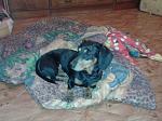     
: BXI9_b60ICI.jpg
: 12
:	90.2 
ID:	8703197