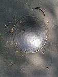     
: P9142907.jpg
: 14
:	147.6 
ID:	8703392