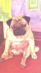     
: WP_20140828_001.jpg
: 26
:	59.9 
ID:	8706616