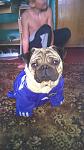    
: WP_20140826_008.jpg
: 24
:	63.1 
ID:	8706627
