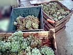     
: Фото-0109.jpg
: 32
:	101.7 
ID:	8709062