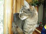     
: DSC02400.jpg
: 8
:	149.1 
ID:	8710723