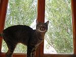     
: DSC02362.jpg
: 8
:	228.4 
ID:	8710725