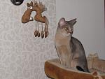     
: IMG_0308.jpg
: 20
:	114.1 
ID:	8711063