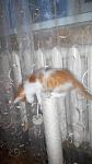     
: 2014825193053.jpg
: 15
:	55.2 
ID:	8713888