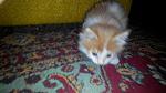     
: 2014810141255.jpg
: 23
:	79.5 
ID:	8713889
