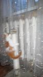     
: 2014825192804.jpg
: 21
:	43.8 
ID:	8713890