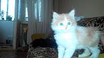     
: 2014810143526.jpg
: 23
:	70.6 
ID:	8713891