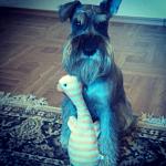     
: fC3OdzlBlMQ.jpg
: 10
:	89.3 
ID:	8717957