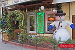     
: DSC00223S.JPG
: 573
:	187.8 
ID:	8719725