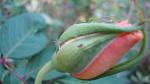     
: DSC05848.jpg
: 10
:	65.8 
ID:	8721965
