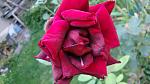     
: DSC05851.jpg
: 11
:	91.3 
ID:	8721968