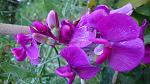     
: DSC05859.jpg
: 11
:	103.3 
ID:	8721969