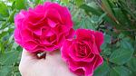     
: DSC05841.jpg
: 10
:	89.5 
ID:	8721972