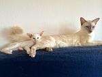     
: IMG_1573.jpg
: 11
:	135.5 
ID:	8723096