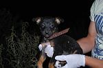     
: DSC_0182.jpg
: 14
:	94.7 
ID:	8723734