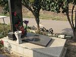     
: IMG_1641.jpg
: 76
:	244.1 
ID:	8723782