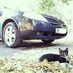     
: Ласкунчик-1.jpg
: 86
:	138.9 
ID:	8724369