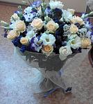     
: 1ZQoAM7CUZY.jpg
: 20
:	121.6 
ID:	8724489