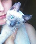     
: IMG_20140818_145920_598-1-1.jpg
: 5
:	31.4 
ID:	8728117
