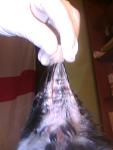     
: ILHgbs4dTDg.jpg
: 5
:	86.8 
ID:	8728208
