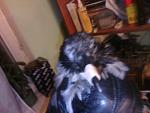     
: 875DBXsYHwU.jpg
: 5
:	232.2 
ID:	8728209