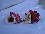     
: DSC_0711.jpg
: 70
:	69.4 
ID:	8729117