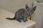     
: _DSC0031.jpg
: 33
:	65.2 
ID:	8729427