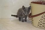     
: _DSC0032.jpg
: 27
:	72.5 
ID:	8729430
