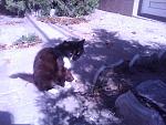     
: IMG_20140921_123814.jpg
: 12
:	142.2 
ID:	8730525