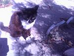     
: IMG_20140921_123730.jpg
: 12
:	122.8 
ID:	8730526