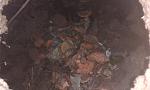     
: 2014-09-21 11.39.15.jpg
: 66
:	95.0 
ID:	8730540