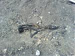     
: DSC00024.jpg
: 50
:	225.5 
ID:	87367