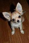     
: IMG_5787.jpg
: 15
:	49.3 
ID:	8740208