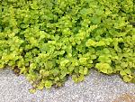    
: IMG_1643.jpg
: 20
:	269.1 
ID:	8742714