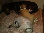     
: IMG_20140923_022710.jpg
: 27
:	102.6 
ID:	8745722