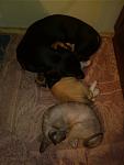     
: IMG_20140923_022758.jpg
: 26
:	63.7 
ID:	8745723